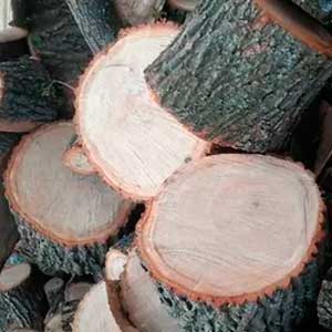 Дрова дубовые чурками