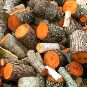 Дрова ольховые чурками